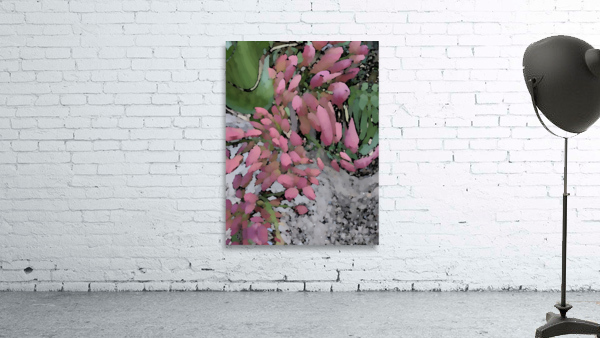 In the pink Wall Preview
