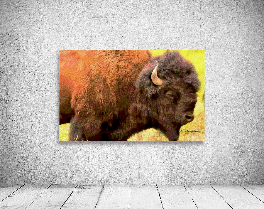 Bison Headshot Wall Preview