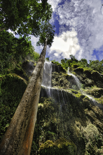 Vertical Horizon – Waterfall Canopy Cebu Philippines Digital Download