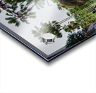 Touch of Trust Acrylic print