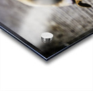 Resting Innocence – Cebu Philippines Acrylic print