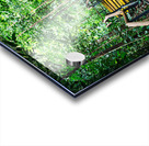 Path Through the Green Singapore Acrylic print