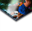 Bali Feeding Fish – Tirta Empul Temple Indonesia Acrylic print