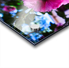 Wild Bloom in Tombstone Acrylic print