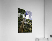 Vertical Horizon – Waterfall Canopy Cebu Philippines Acrylic Print