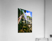 Waterfall Ascent Cebu” Acrylic Print