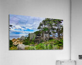 Big Sur Forest View Acrylic Print