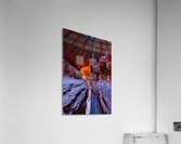 Fire Within the Canyon Acrylic Print
