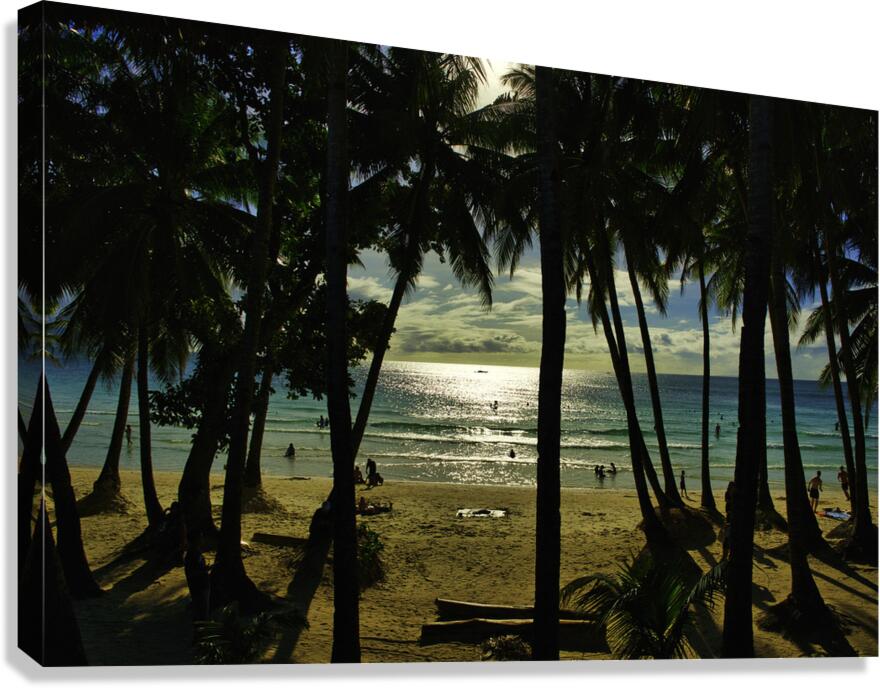 Boracay Sun Through Palms Canvas Print