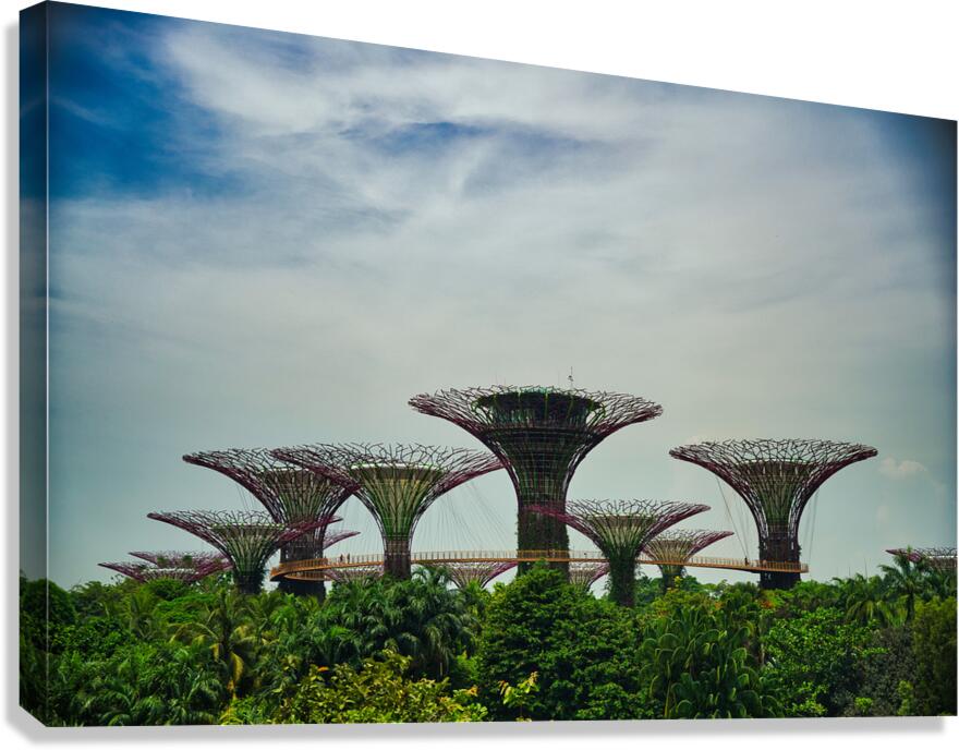 Supertree Grove: Daylight Harmony Canvas Print