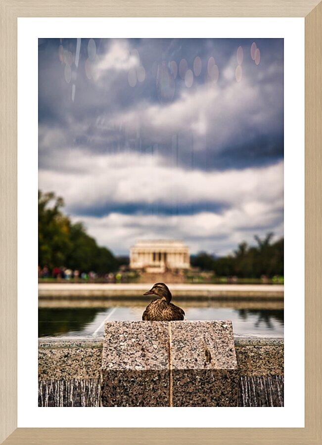 Monument Watcher Washington Picture Frame Printing