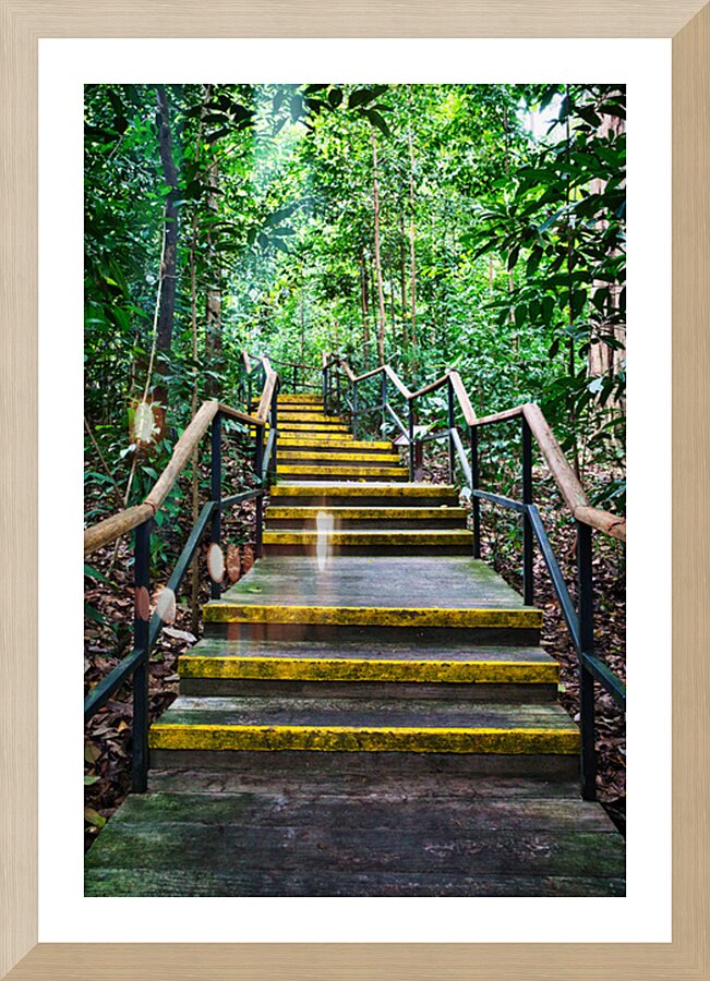 Path Through the Green Singapore Picture Frame Printing
