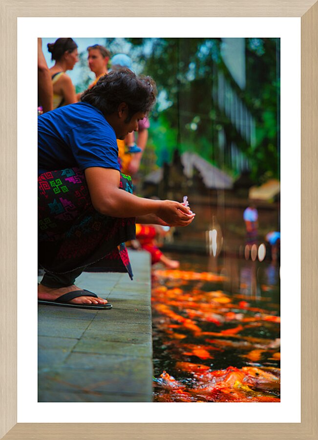 Bali Feeding Fish – Tirta Empul Temple Indonesia Picture Frame print