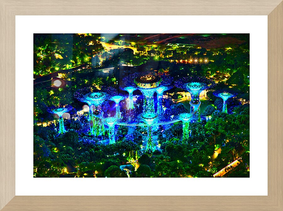 Supertree Symphony Singapore Picture Frame Printing