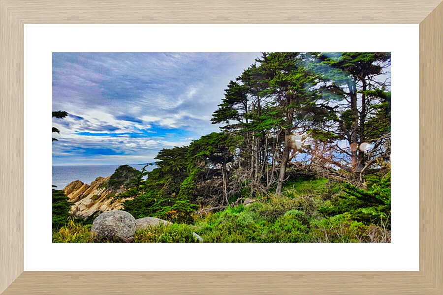 Big Sur Forest View Picture Frame print