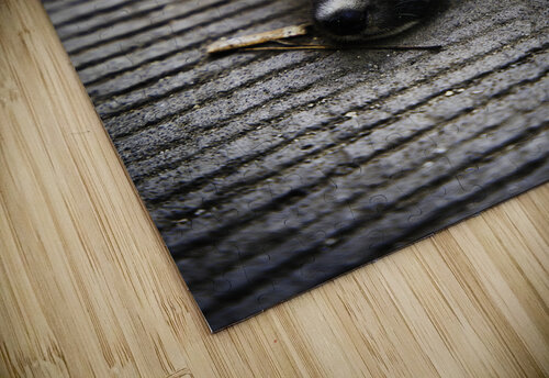 Resting Innocence – Cebu Philippines AM Productions puzzle