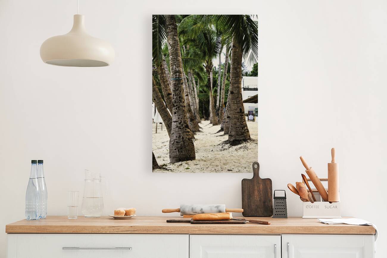 Boracay Palm Pathway Reproduction