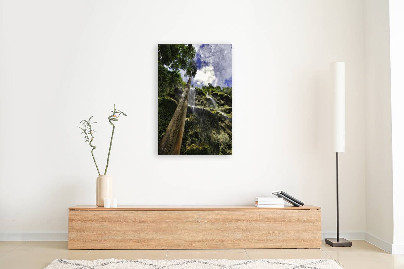 Vertical Horizon – Waterfall Canopy Cebu Philippines Reproduction