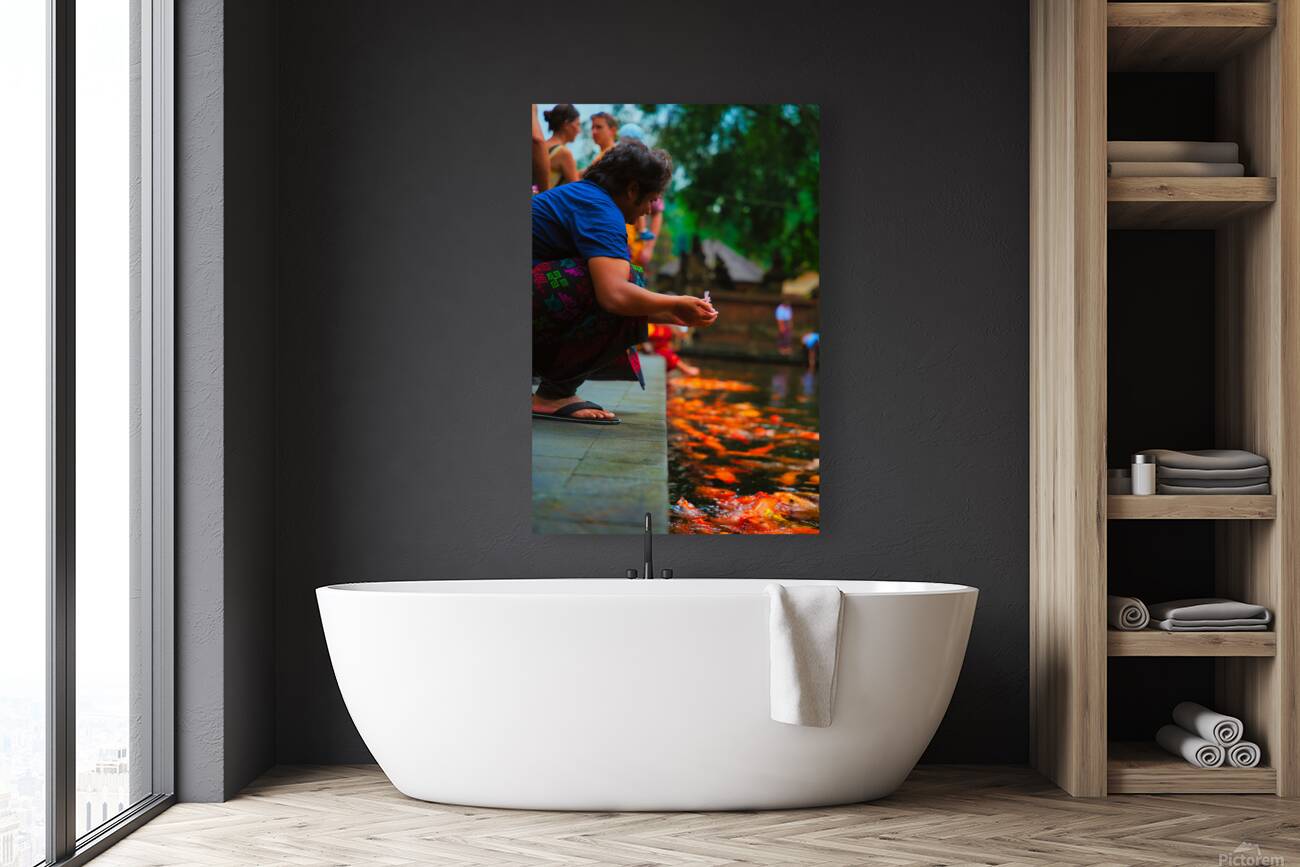 Bali Feeding Fish – Tirta Empul Temple Indonesia Reproduction