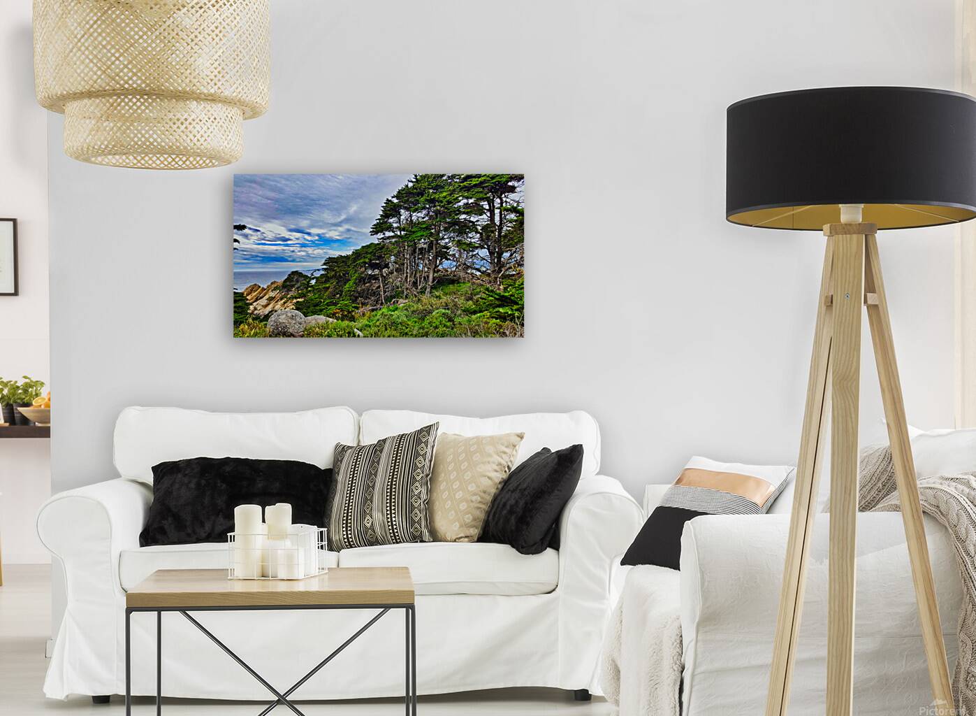 Big Sur Forest View Reproduction