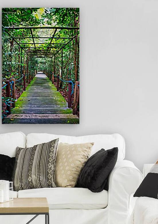 Singapore Botanical Gardens – Forest Walkway by AM Productions