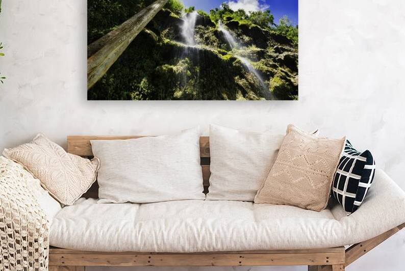 Jungle Veil – Cebu Waterfall by AM Productions