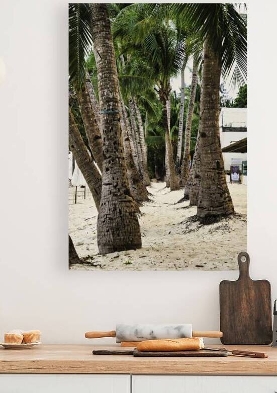 Boracay Palm Pathway by AM Productions