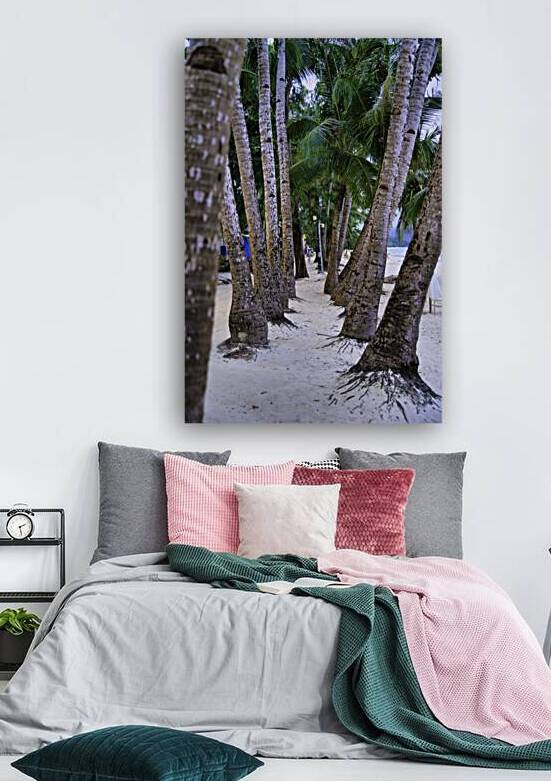 Palm Pathway – Boracay Philippines by AM Productions