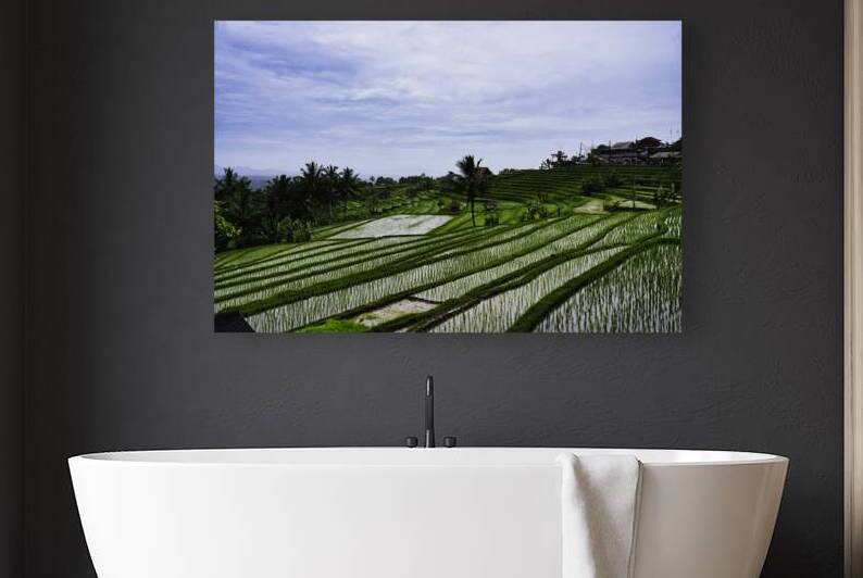 Quiet Geometry – Jatiluwih Bali by AM Productions