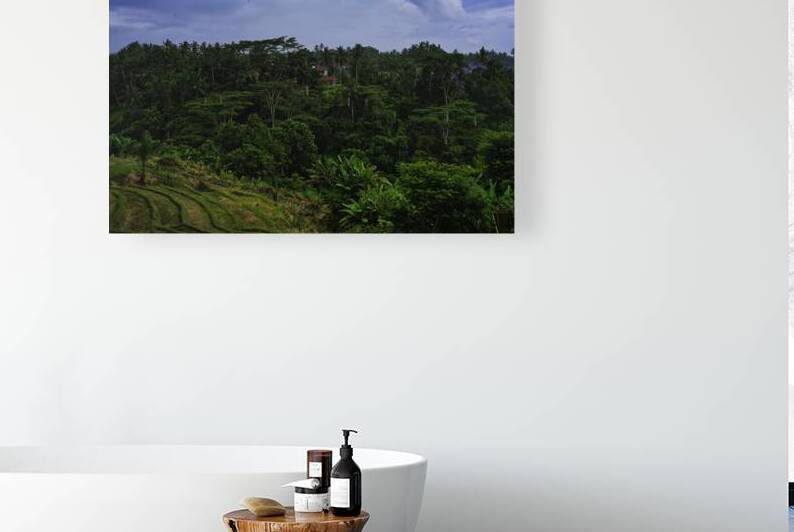 Bali Ubud Rainforest Horizon by AM Productions
