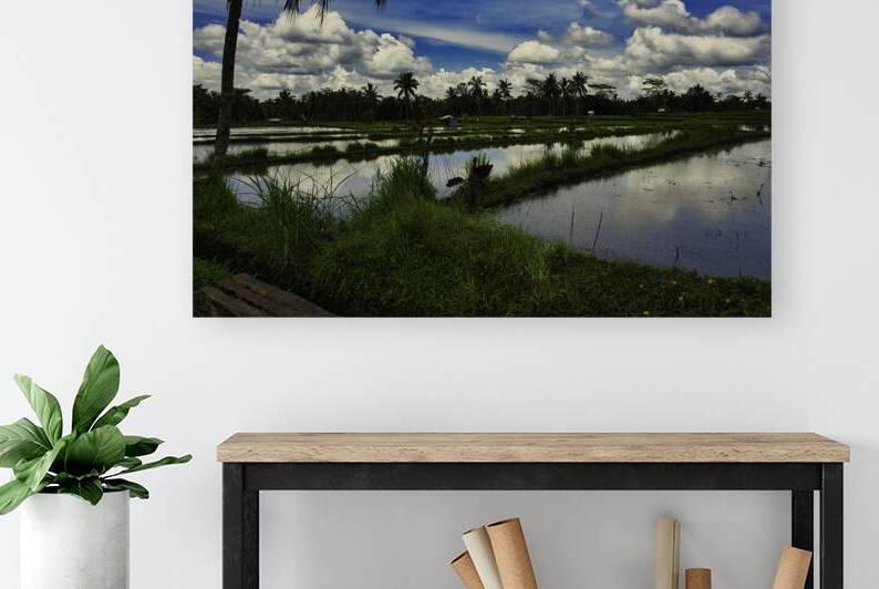 Still Fields of Bali by AM Productions