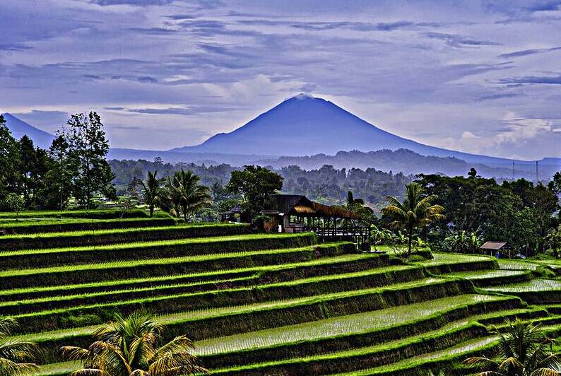 Bali Rice Terrace Horizon by AM Productions