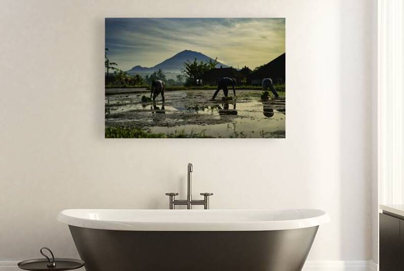 Bali Rice Planters at Dawn by AM Productions