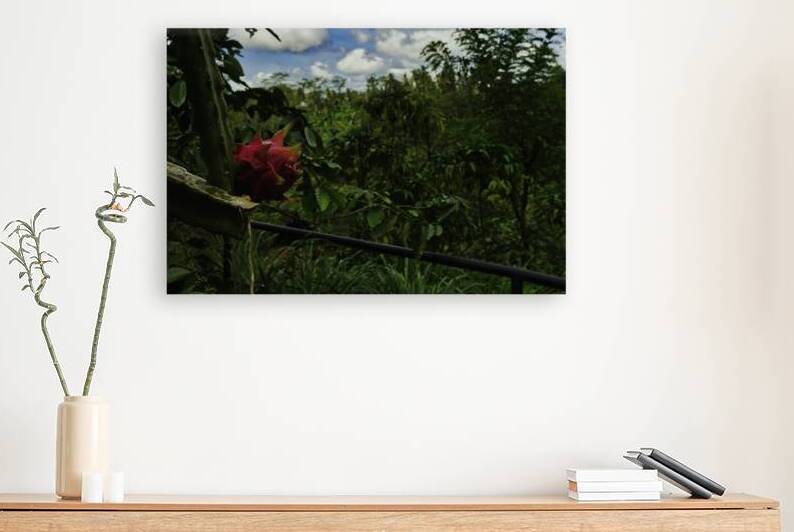 Harvest Among the Hills – Ubud Bali by AM Productions