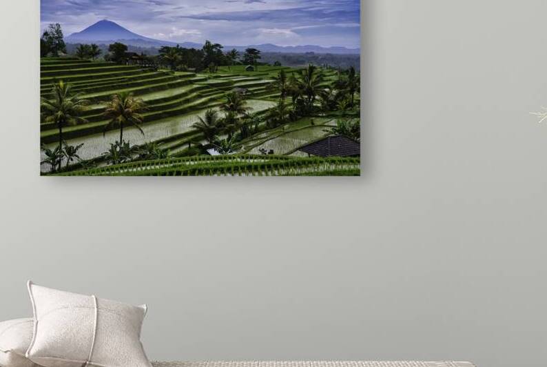 Rice Terrace Bali View by AM Productions