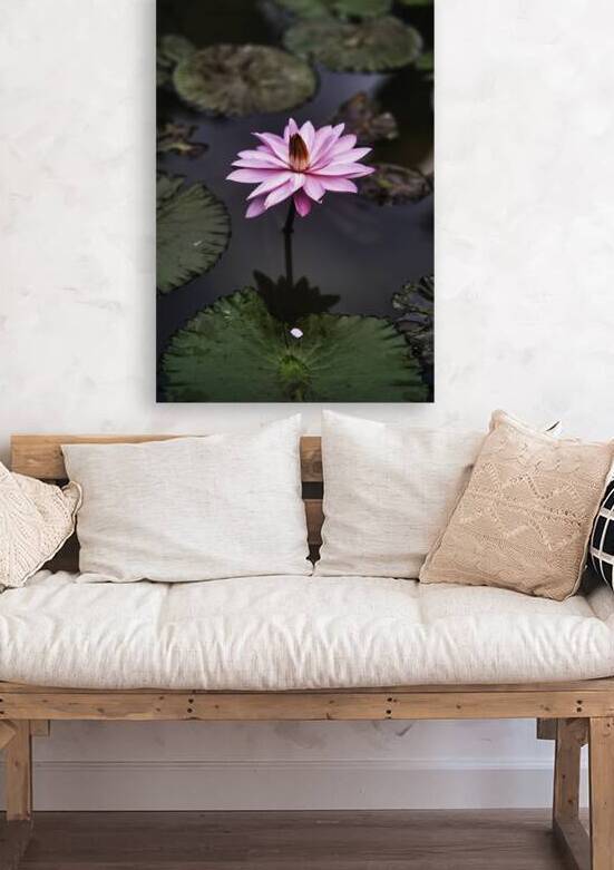 Flower Lily BaliSolitude in Bloom – Water Lily Reflection by AM Productions