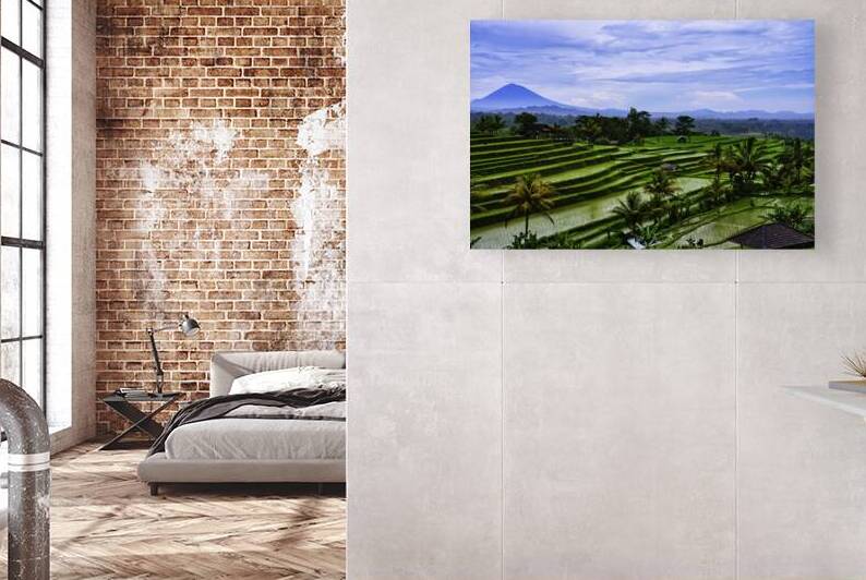 Rice Terrace Bali View by AM Productions