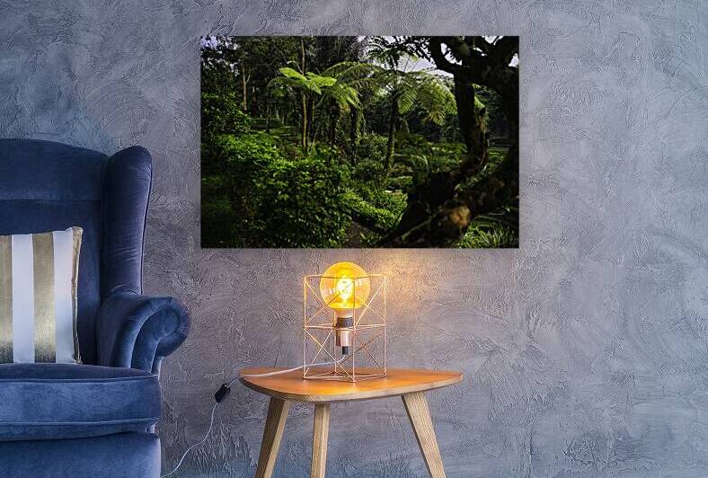 Padma Ubud Agroforestry Garden View by AM Productions