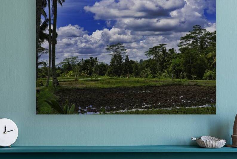Ubud Rice Fields Under Gathering Clouds – Bali Indonesia by AM Productions