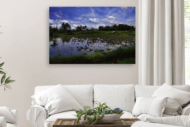 After the Rain – Ubud Bali by AM Productions