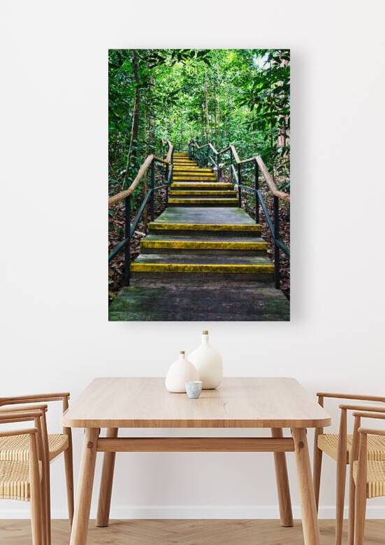 Path Through the Green Singapore by AM Productions