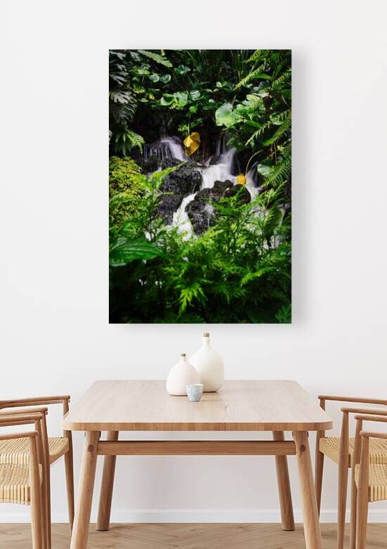 Whispers of the Falls Singapore Botanic Gardens by AM Productions