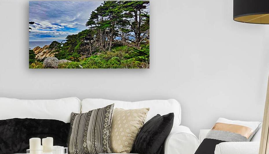 Big Sur Forest View Reproduction