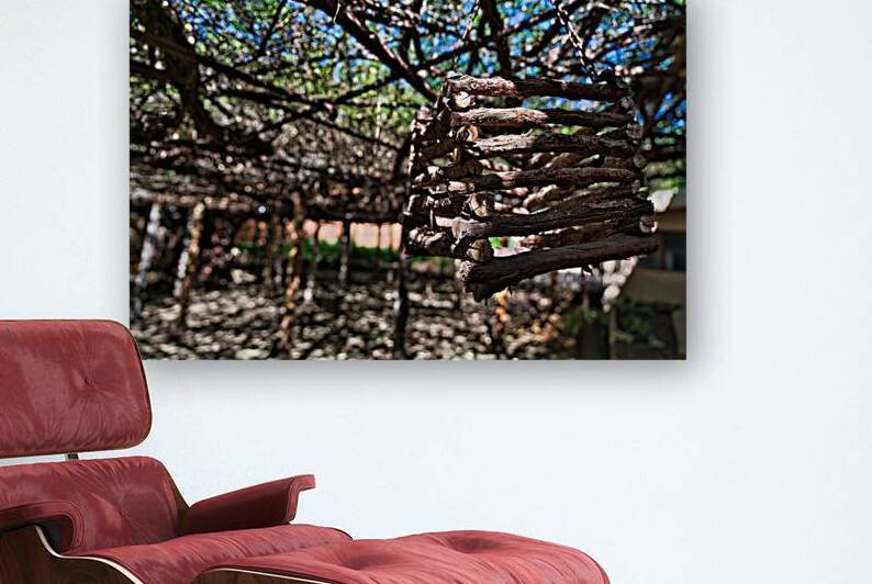 Hanging Timber – Desert Arbor by AM Productions