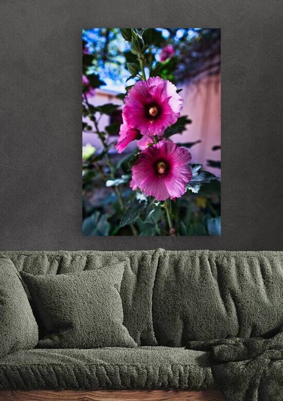 Wild Bloom in Tombstone by AM Productions