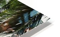 Boracay Palm Pathway HD Metal print