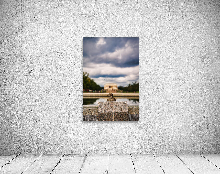 Monument Watcher Washington Wall Preview