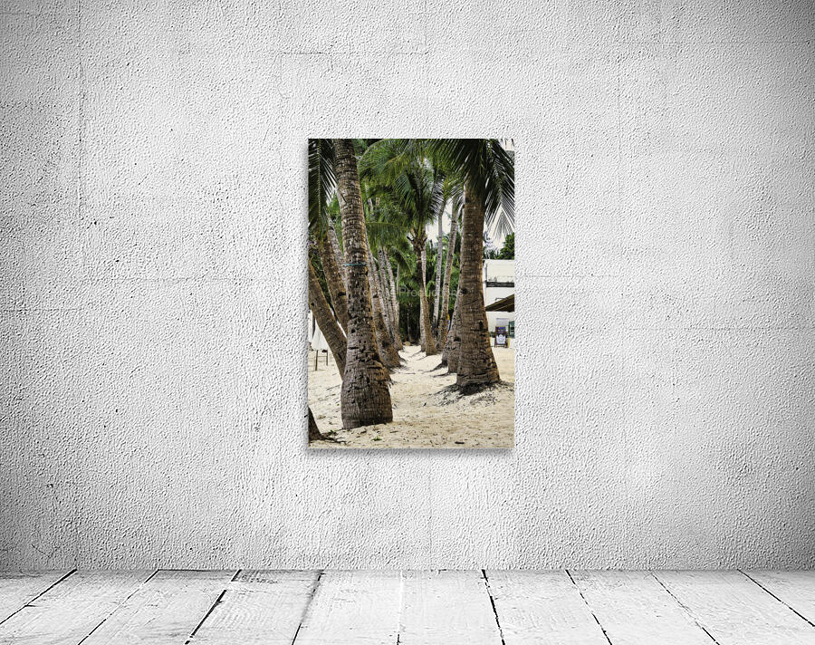 Boracay Palm Pathway Wall Preview