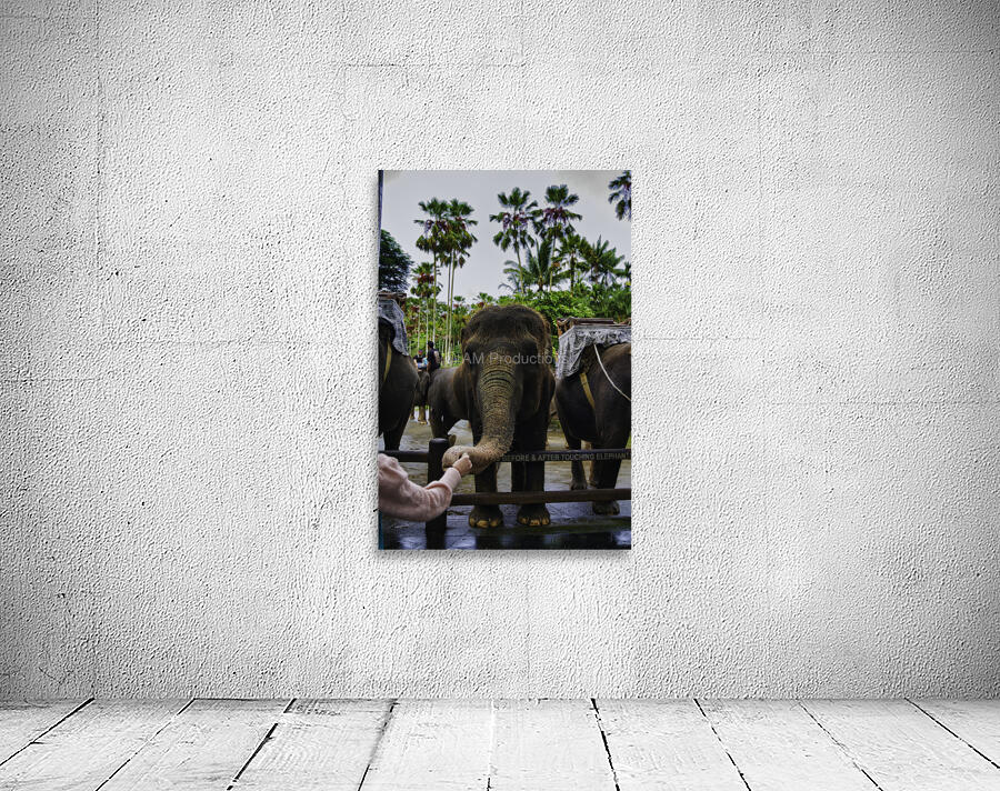 Touch of Trust Wall Preview