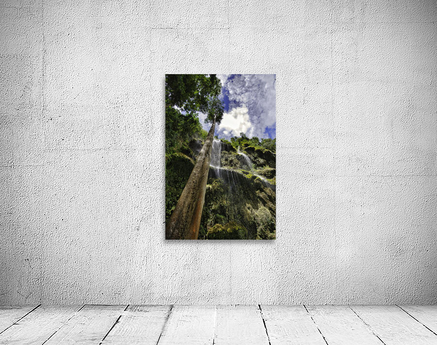 Vertical Horizon – Waterfall Canopy Cebu Philippines Wall Preview